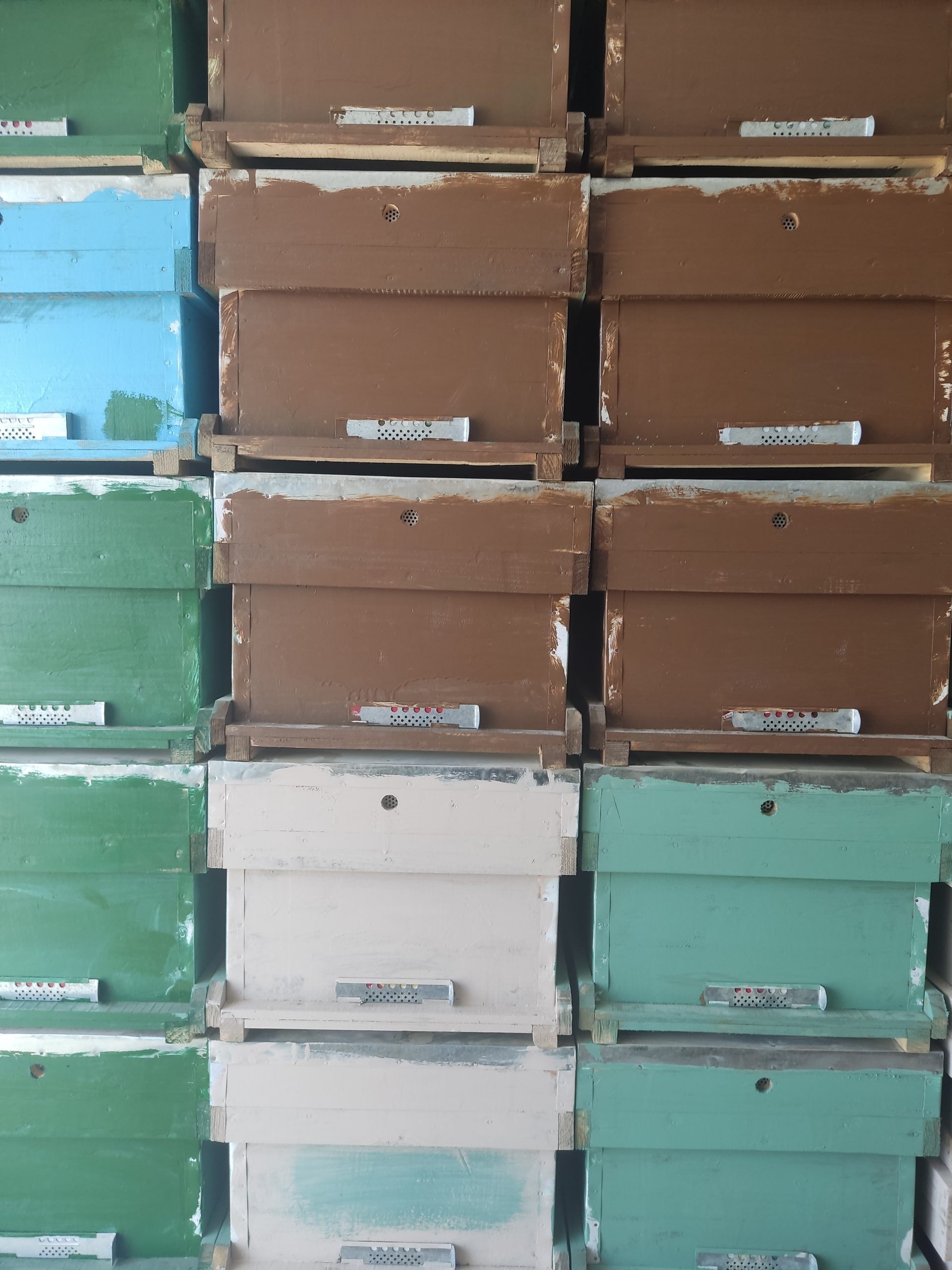 کندو رنگ کرده درجه یک-زرین‌ه‌عسل‌فاخر